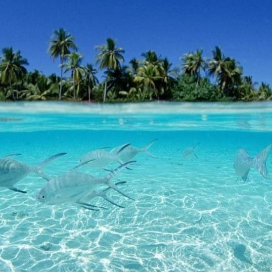 מלון טלאוסדו Ocean Breeze Maldives מראה חיצוני תמונה