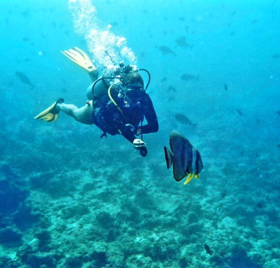 מלון טלאוסדו Ocean Breeze Maldives מראה חיצוני תמונה